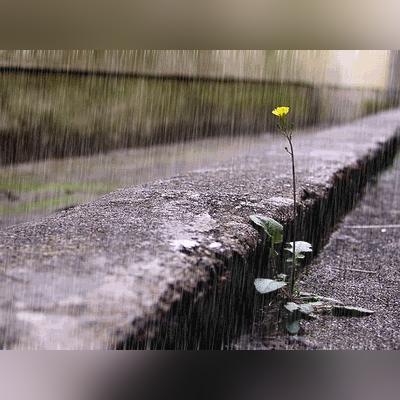 湖南长沙天气预报（湖南长沙天气预报15天查询百度）