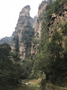 湖南长沙天气(湖南张家界景区天气) 湖南长沙天气(湖南张家界景区天气)