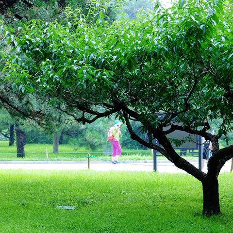 北京天气app(北京天气app官网下载最新版) 北京天气app(北京天气app官网下载最新版)