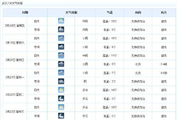 武汉精准天气10天（武汉精准天气10天气）