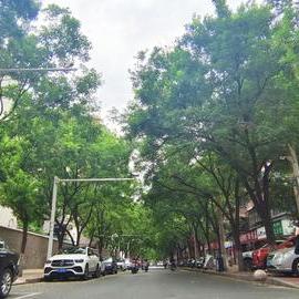 河南将迎来大范围降雨(河南将迎来强降雨) 河南将迎来大范围降雨(河南将迎来强降雨)