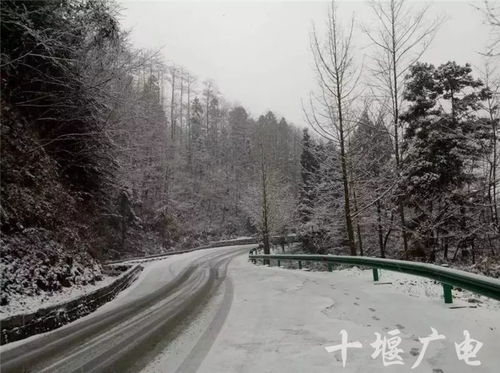 明天新昌几点下雨(新昌什么时候下雪2020) 明天新昌几点下雨(新昌什么时候下雪2020)