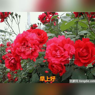 知心天气预报(知心天气预报下载安装) 知心天气预报(知心天气预报下载安装)